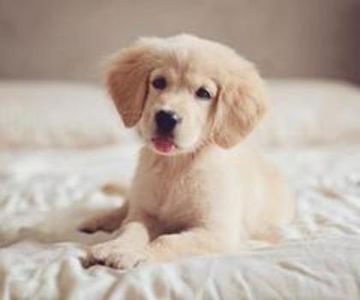 83382734_DBXNUBN - lumina sau întuneric