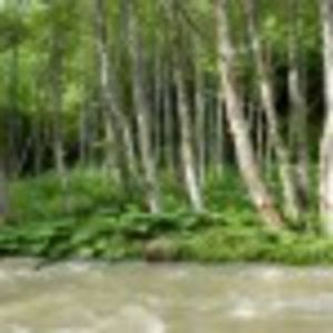 98700423_VVOFVMG3 - lumina sau întuneric