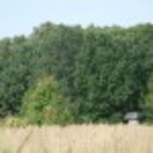 98700372_XNGKKQK - lumina sau întuneric