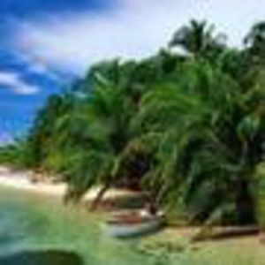 98444830_CPUBEWW3 - lumina sau întuneric