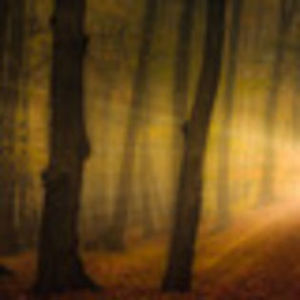 100011620_ICUBWTO - lumina sau întuneric