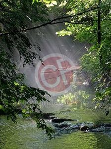 100011619_CFSZHAK3 - lumina sau întuneric