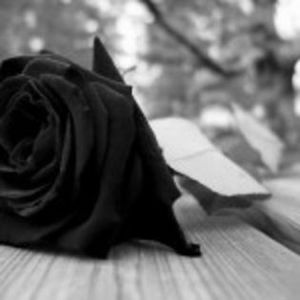 100010925_IITKZSR3 - lumina sau întuneric