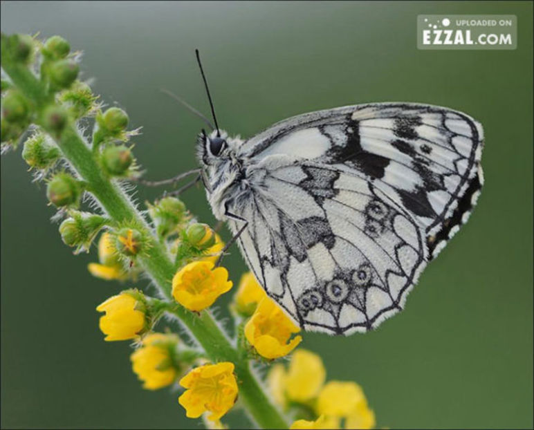 98449725_FAJEORP - lumina sau întuneric