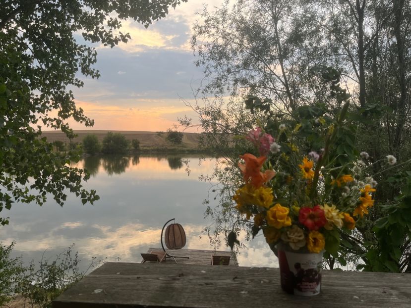 5B7DA0C5-078E-4D6E-ABDC-577265C37383 - Aranjamente licheni și flori