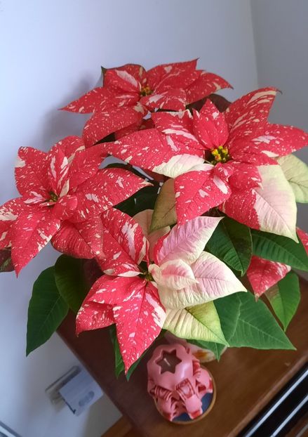 Crăciun fericit va doresc !!! - 002 Sarbatori fericite !