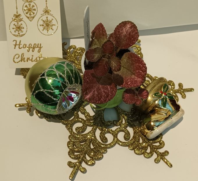  - Episcia - a opta minune a lumii