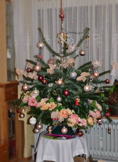  - 2022 - 04 - 2023 - 00 - Iarna