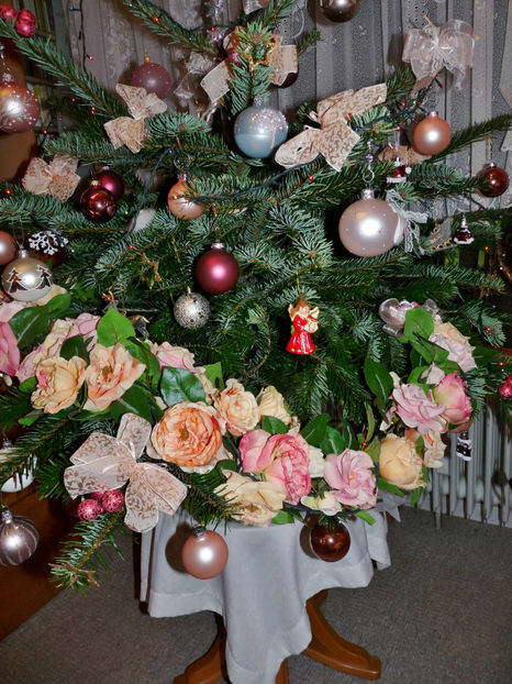  - 2022 - 04 - 2023 - 00 - Iarna