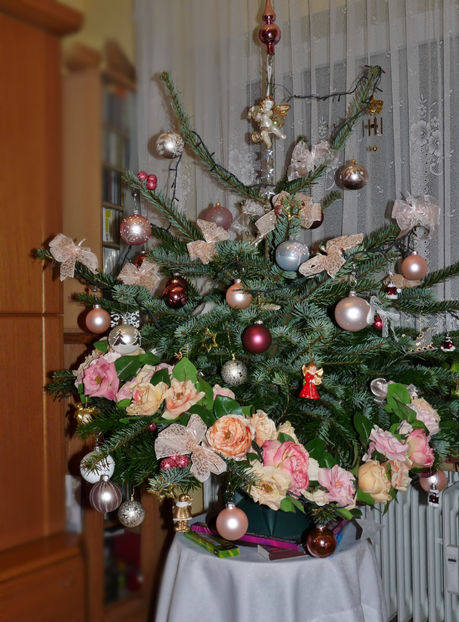  - 2022 - 04 - 2023 - 00 - Iarna