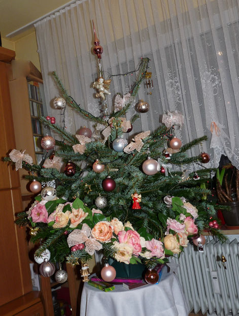  - 2022 - 04 - 2023 - 00 - Iarna