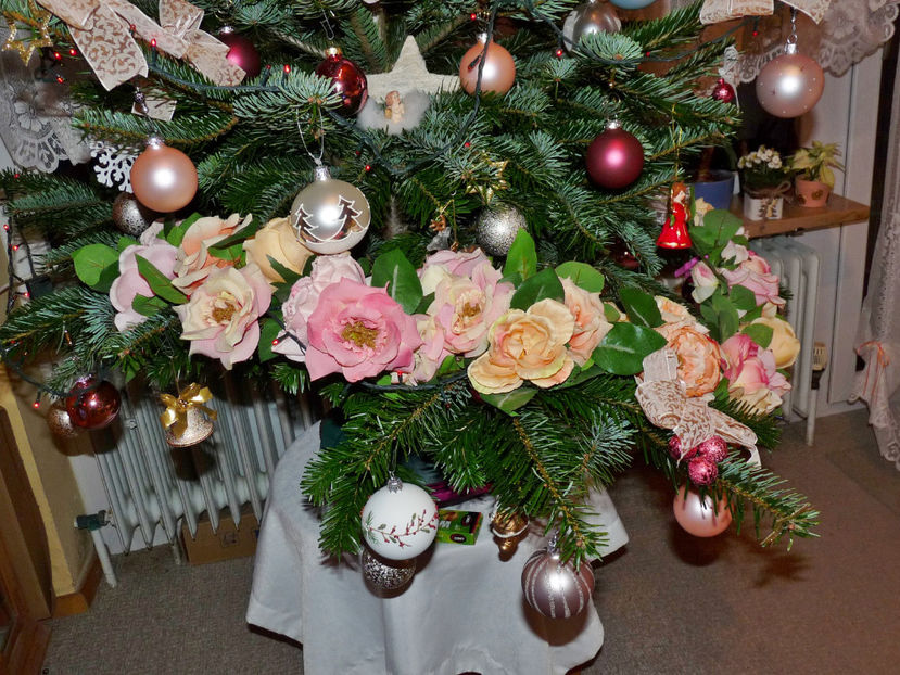  - 2022 - 04 - 2023 - 00 - Iarna