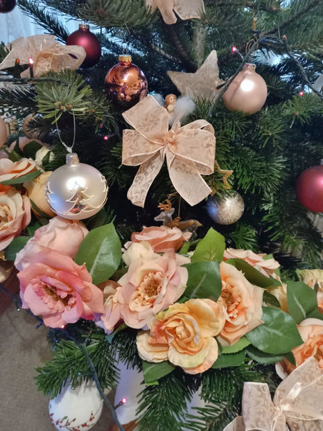  - 2022 - 04 - 2023 - 00 - Iarna