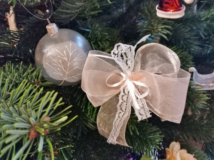  - 2022 - 04 - 2023 - 00 - Iarna