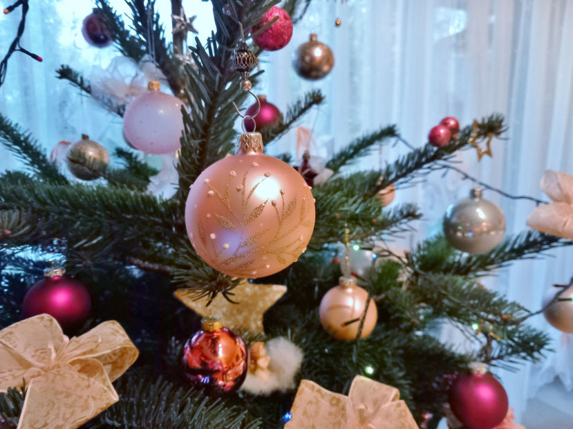  - 2022 - 04 - 2023 - 00 - Iarna