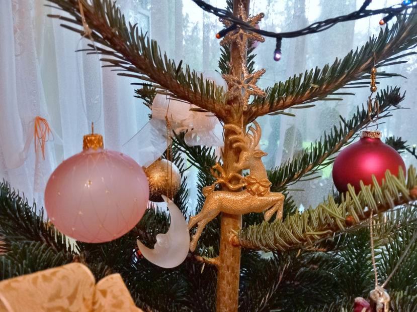  - 2022 - 04 - 2023 - 00 - Iarna