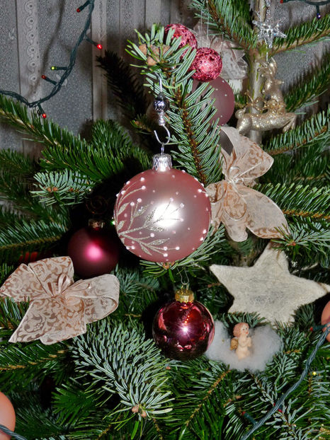  - 2022 - 04 - 2023 - 00 - Iarna