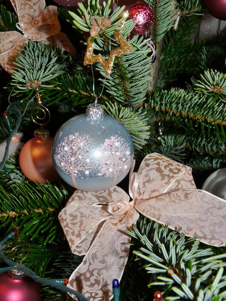  - 2022 - 04 - 2023 - 00 - Iarna