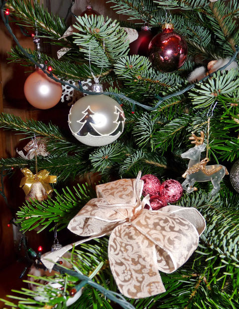  - 2022 - 04 - 2023 - 00 - Iarna