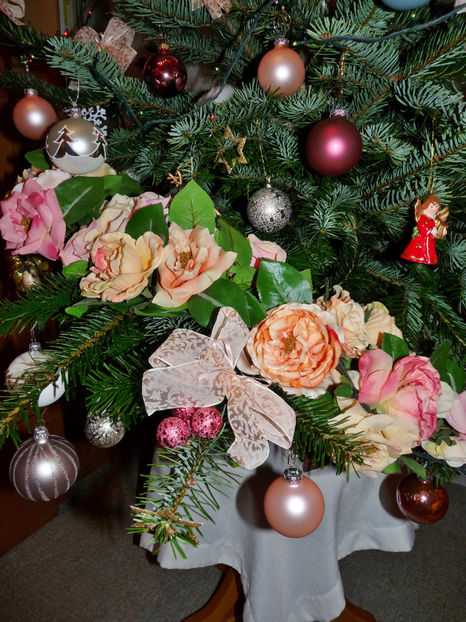  - 2022 - 04 - 2023 - 00 - Iarna