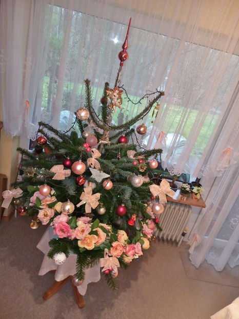  - 2022 - 04 - 2023 - 00 - Iarna