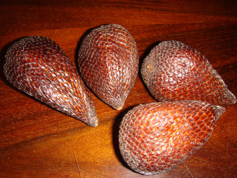  - Salak - fructul şarpelui