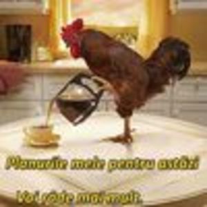 367945-2 - citate fabuloase