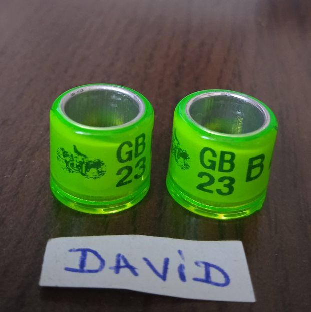 2023 - GB originale ....-5 lei - Inele 2014