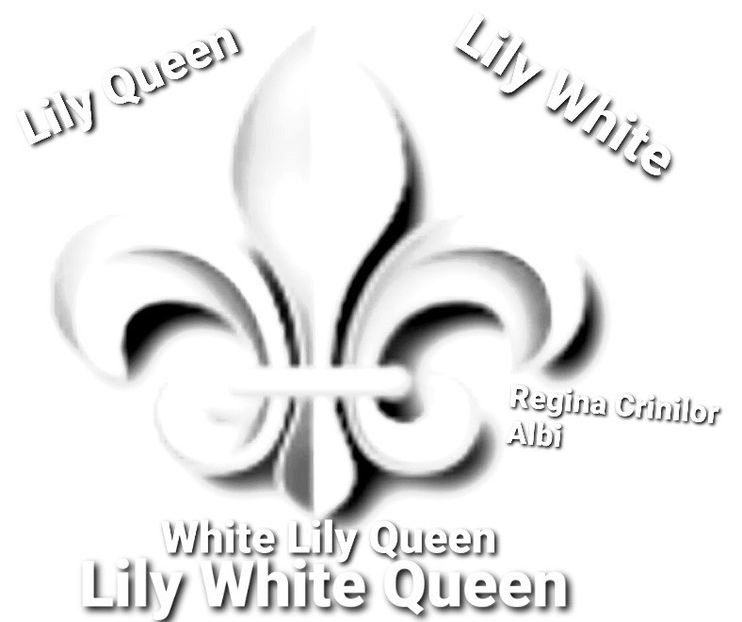 White Lily Queen - 1 Hi! - Journal!