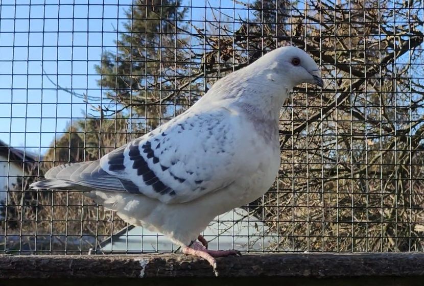 PL22-A2383 ARCHIWUM - i- MLODE -2022- Youth