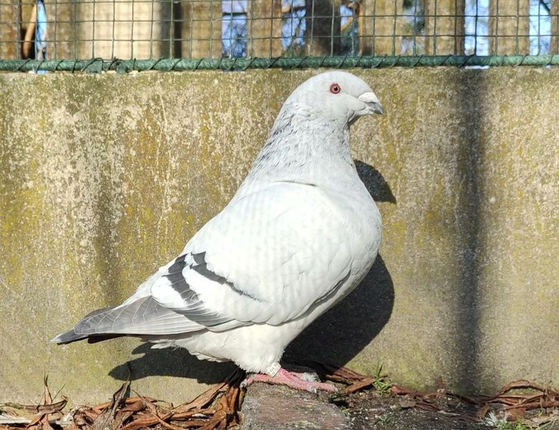 PL22-A2354 Archiwum - i- MLODE -2022- Youth