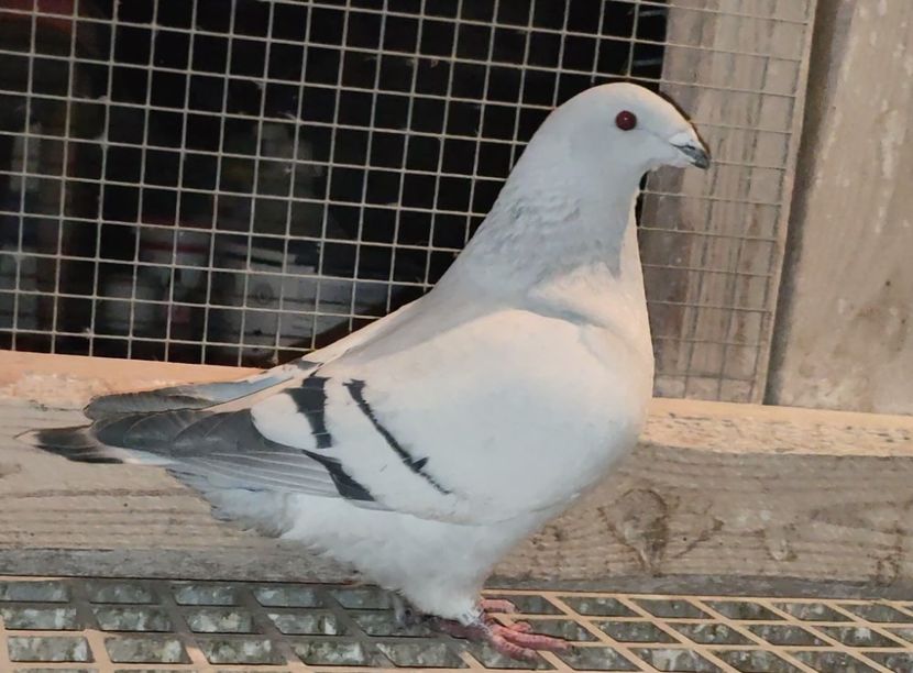 PL22-A2382 Archiwum - i- MLODE -2022- Youth