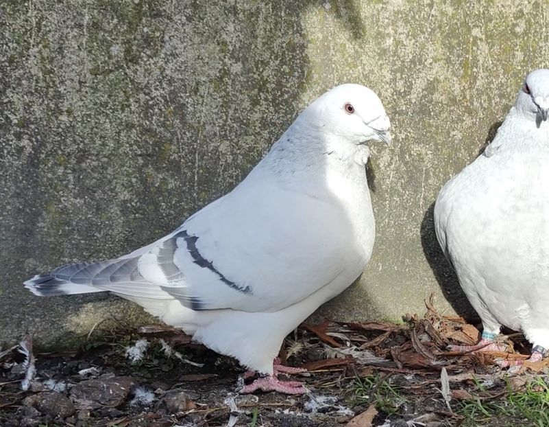 PL/22-A2369 ARCHIWUM - i- MLODE -2022- Youth