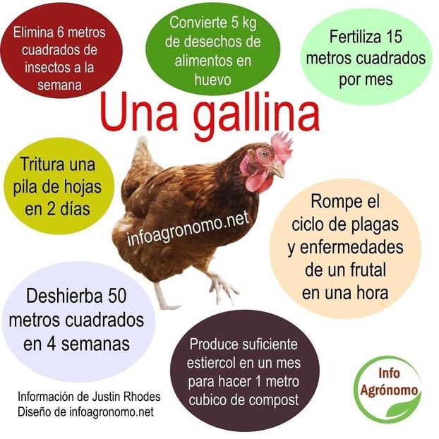 123140342_3427108047408983_5649016498303762807_o - Gainile mele