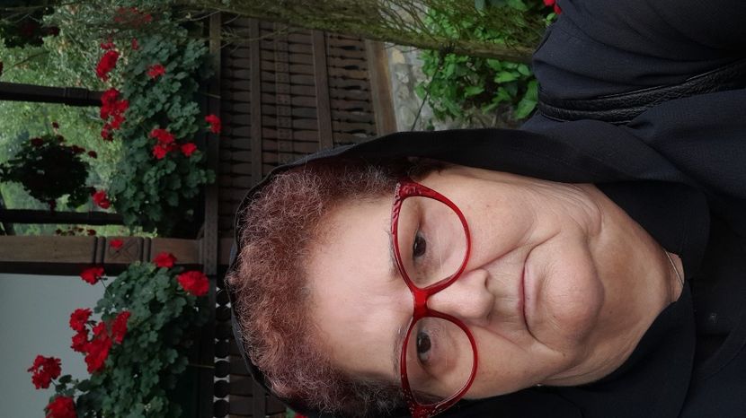  - Pozele mele