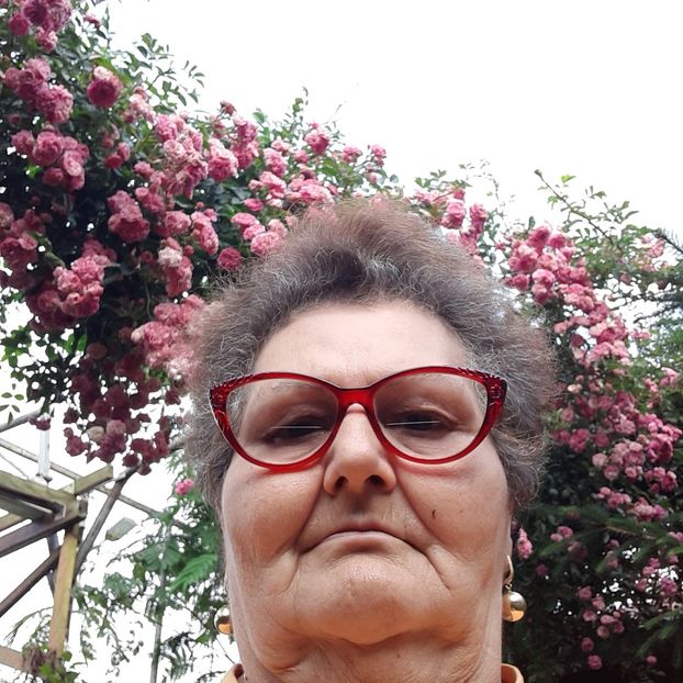  - Pozele mele