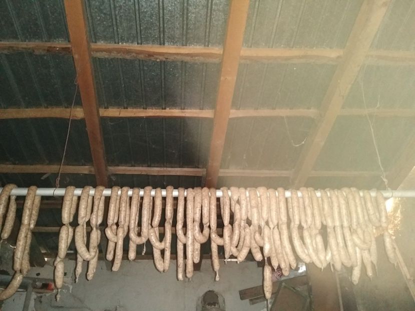 Cârnăciori iarna 2022 : 120 bc - Diverse