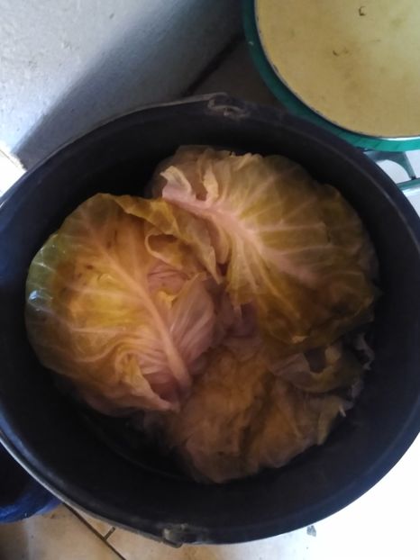 Varza murată dec 2022 - Diverse