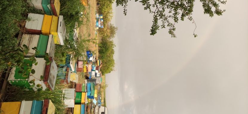  - Școala de vară 2022