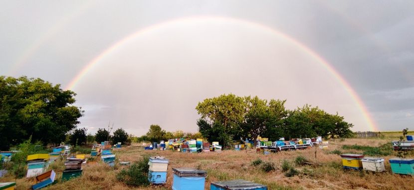  - Școala de vară 2022