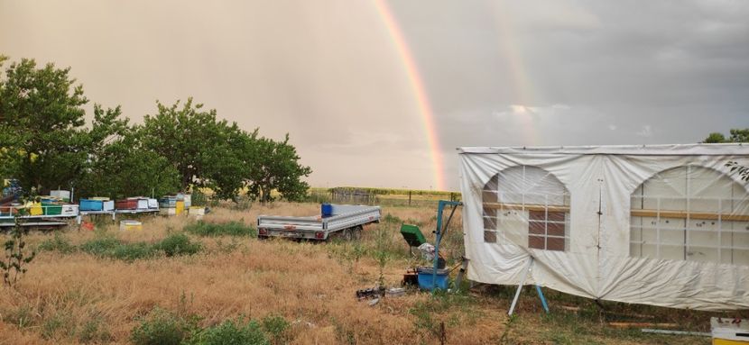  - Școala de vară 2022