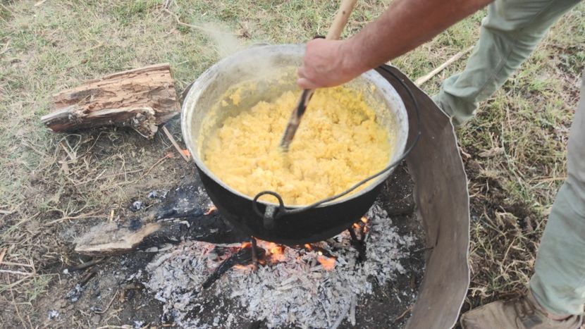  - Școala de vară 2022