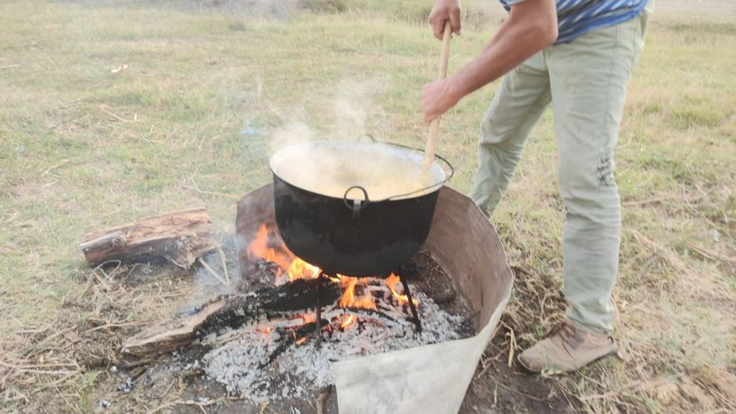  - Școala de vară 2022