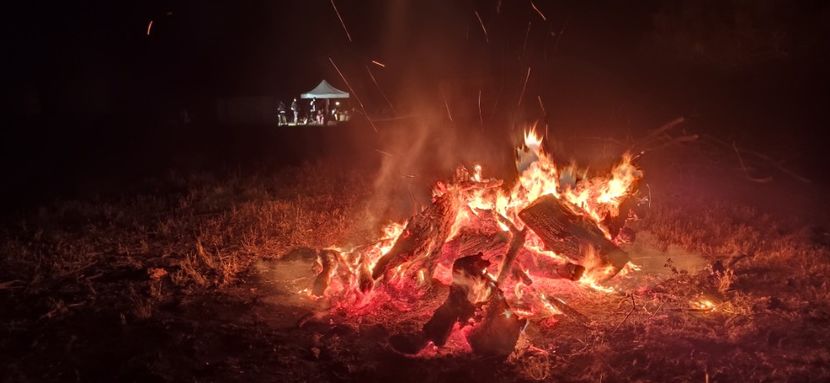  - Școala de vară 2022