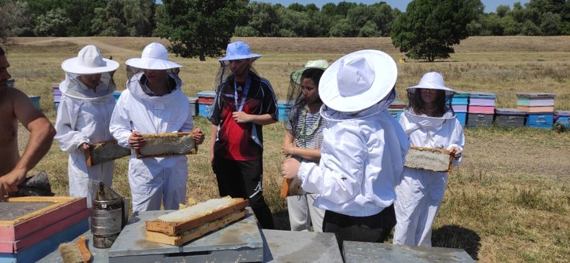  - Școala de vară 2022