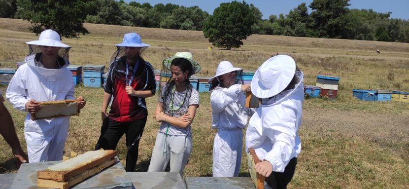  - Școala de vară 2022