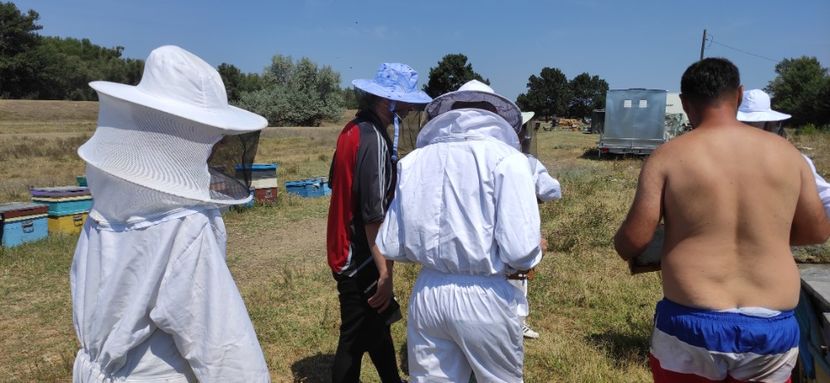  - Școala de vară 2022