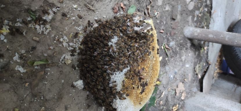  - Școala de vară 2022