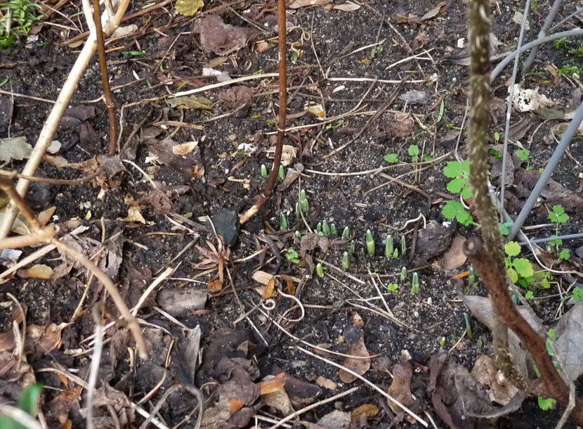  - 2022 - 04 - 2023 - 00 - Iarna