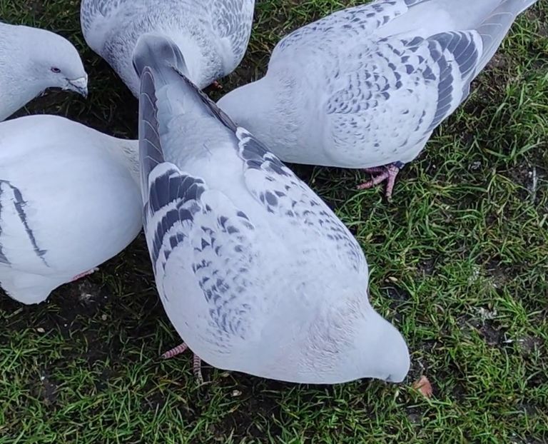 PL22-A2374 ARCHIWUM - i- MLODE -2022- Youth